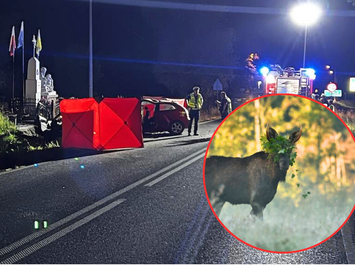 Ostrzeżenie leśników. „Kilka ważnych faktów”