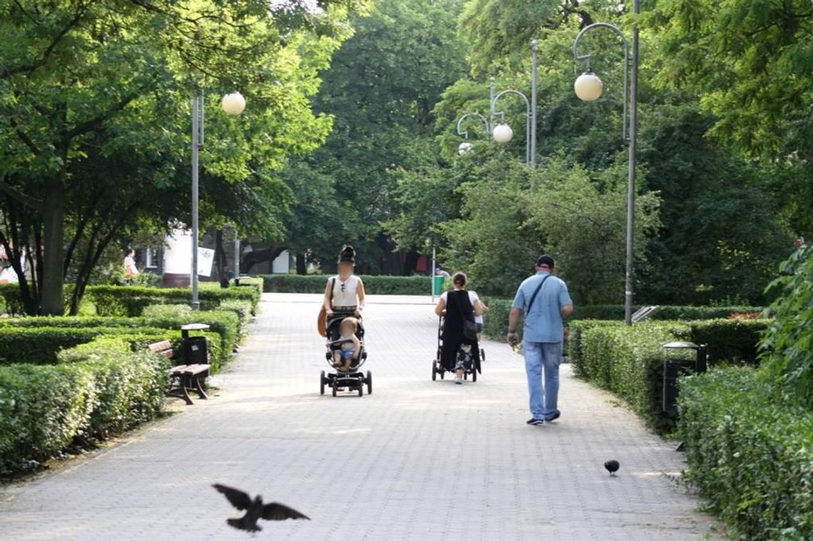 Otwarte parki i lasy, więcej osób w sklepach i kościołach. Od poniedziałku pierwszy etap zdejmowania ograniczeń