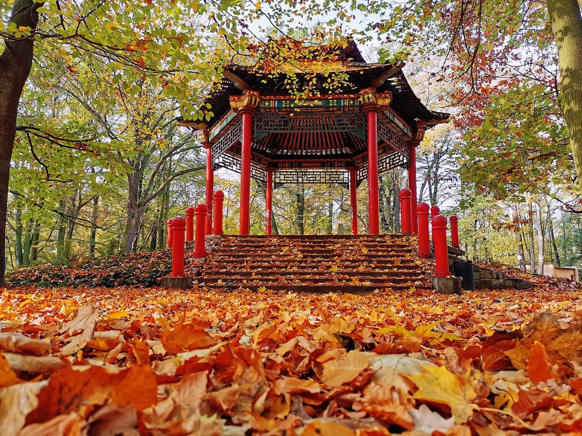 Pagoda chińska do remontu. Uda się zdobyć 200 tysięcy zł w konkursie?