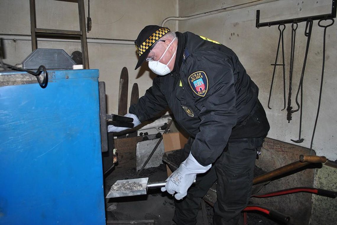 Palą odpadami pomimo mandatów. Strażnicy miejscy z Eko-patrolu wznowili kontrole ZDJĘCIA