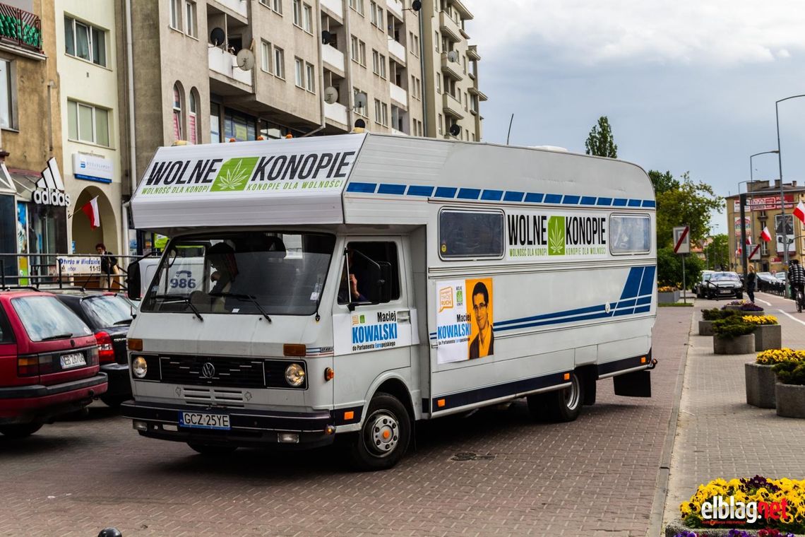 Palikot i Gandziobus w Kaliszu