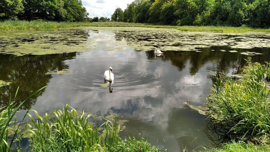 "Pięknieje wielkopolska wieś". Świetlice, place zabaw, działania aktywizujące ZDJĘCIA