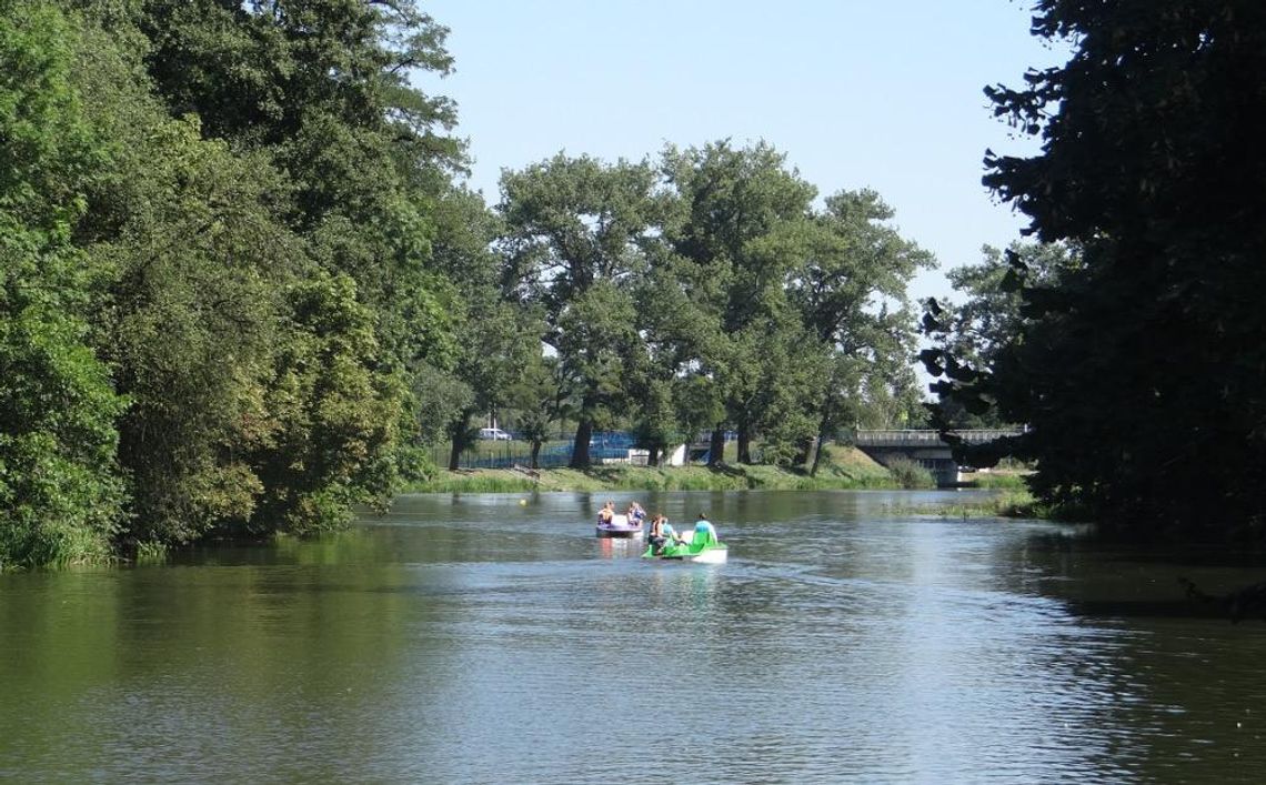 Plaża nad Prosną