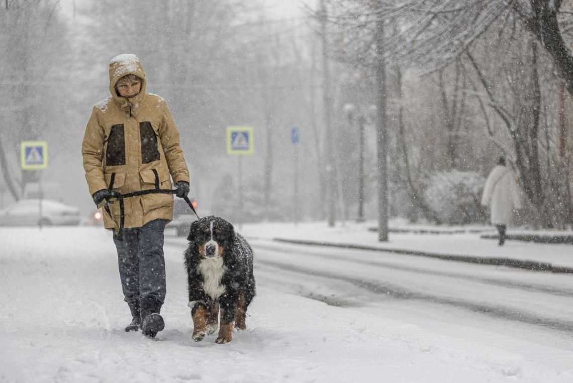 Pogoda. Wraca zima, ale nie w całej Polsce. Jak będzie w Kaliszu?