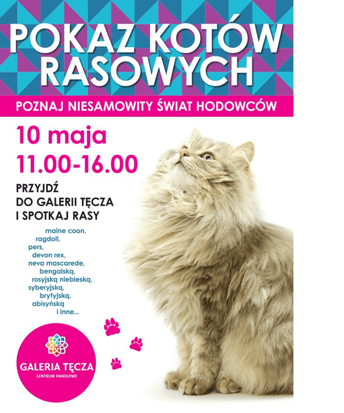 Pokaz kotów rasowych