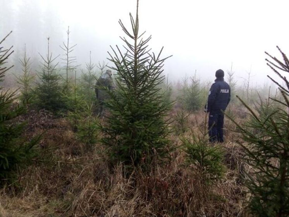 Policja w lasach i na bazarach. Trwa kontrola
