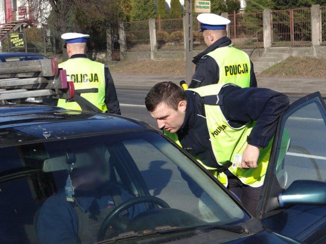 Policja zatrzymała 50 dowodów rejestracyjnych