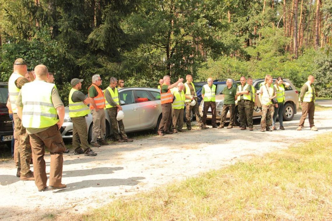 Policzyli straty w lasach. Najwięcej szkód wiatry wyrządziły w Brzezinach