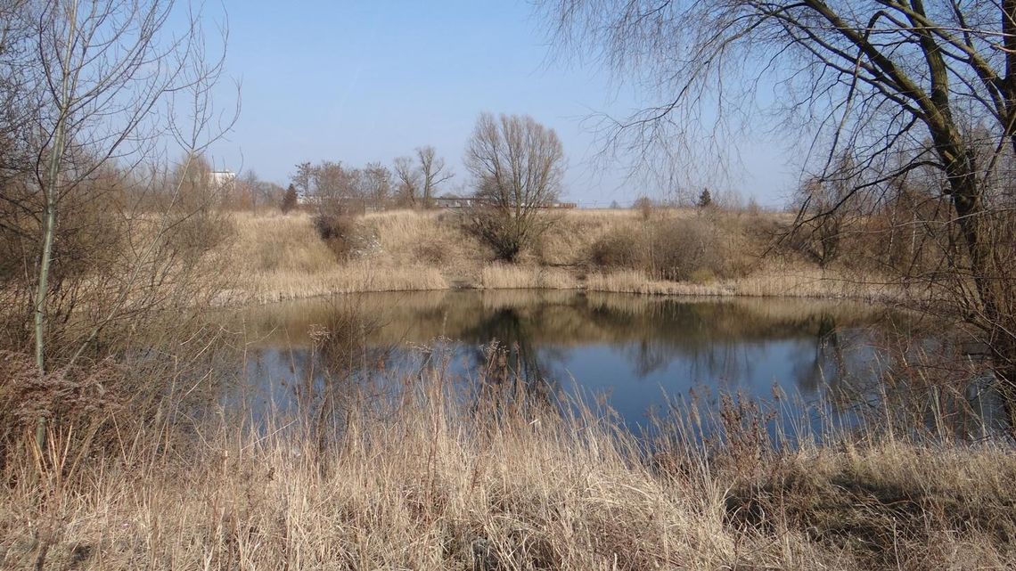 Pomost, plaża, grill. Jezioro Grona będzie zagospodarowane ZDJĘCIA