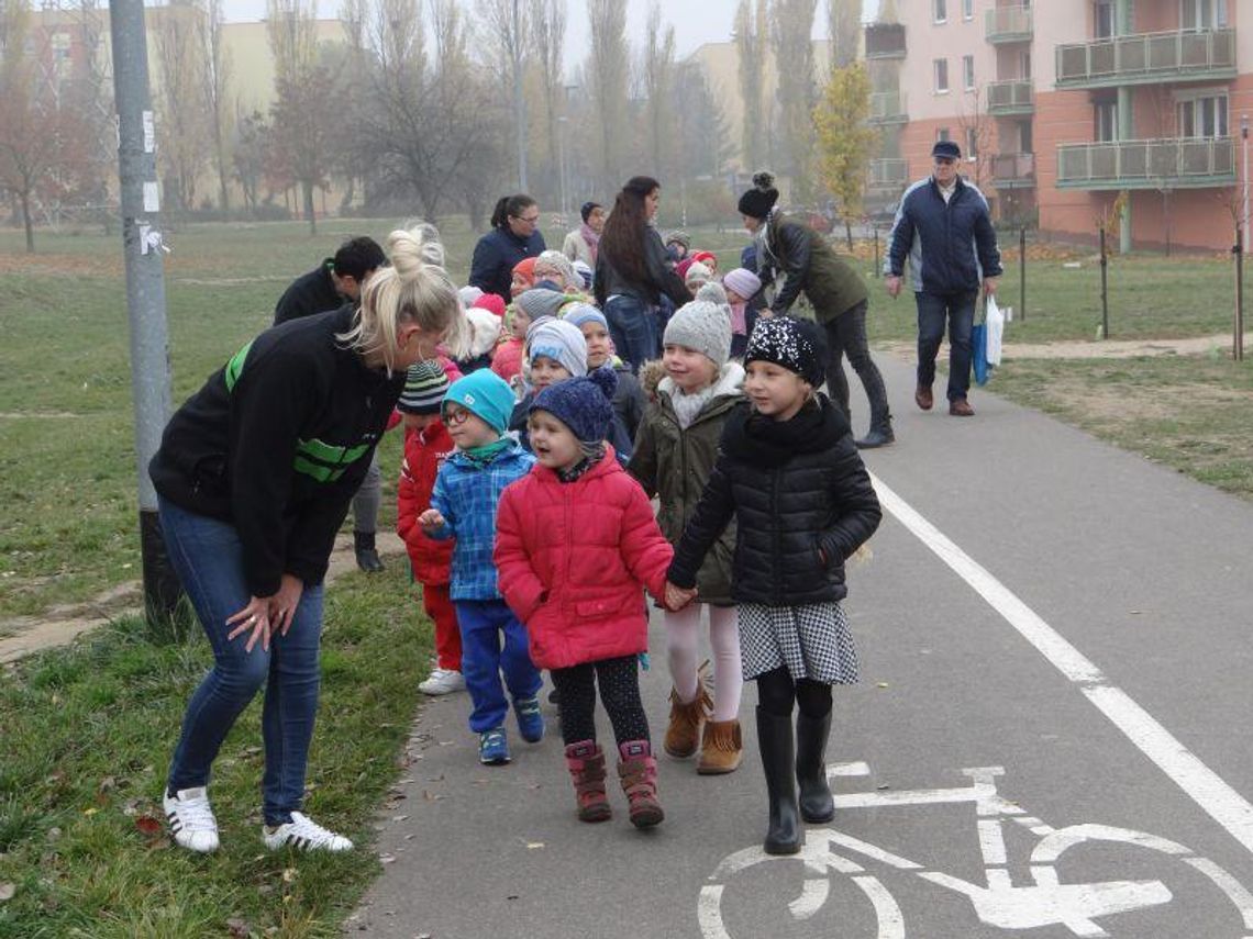 Posadzili klony na Dobrzecu ZDJĘCIA