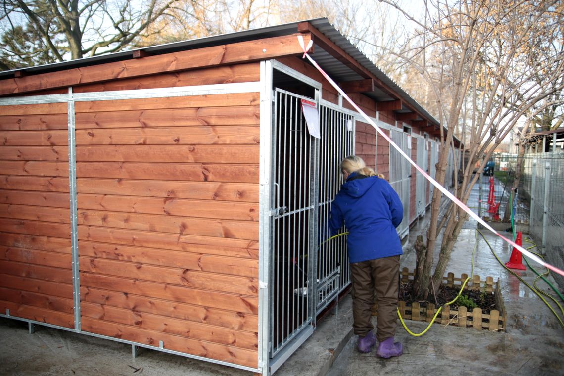 Posiłek regeneracyjny - wzmocnienie dla pracowników schroniska