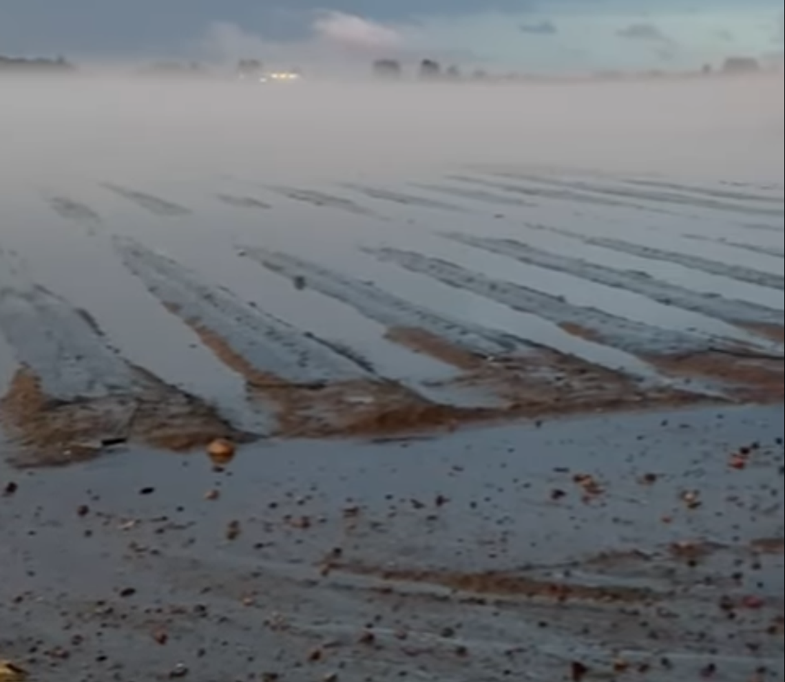 Potężna burza nad regionem, ogromne straty. Rolnicy: „Od nowa, od zera” WIDEO