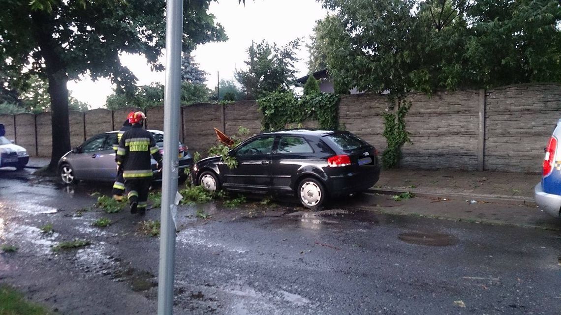 Powalone drzewa, zerwana linia energetyczna i dach. Pracowity wieczór strażaków ZDJĘCIA WIDEO