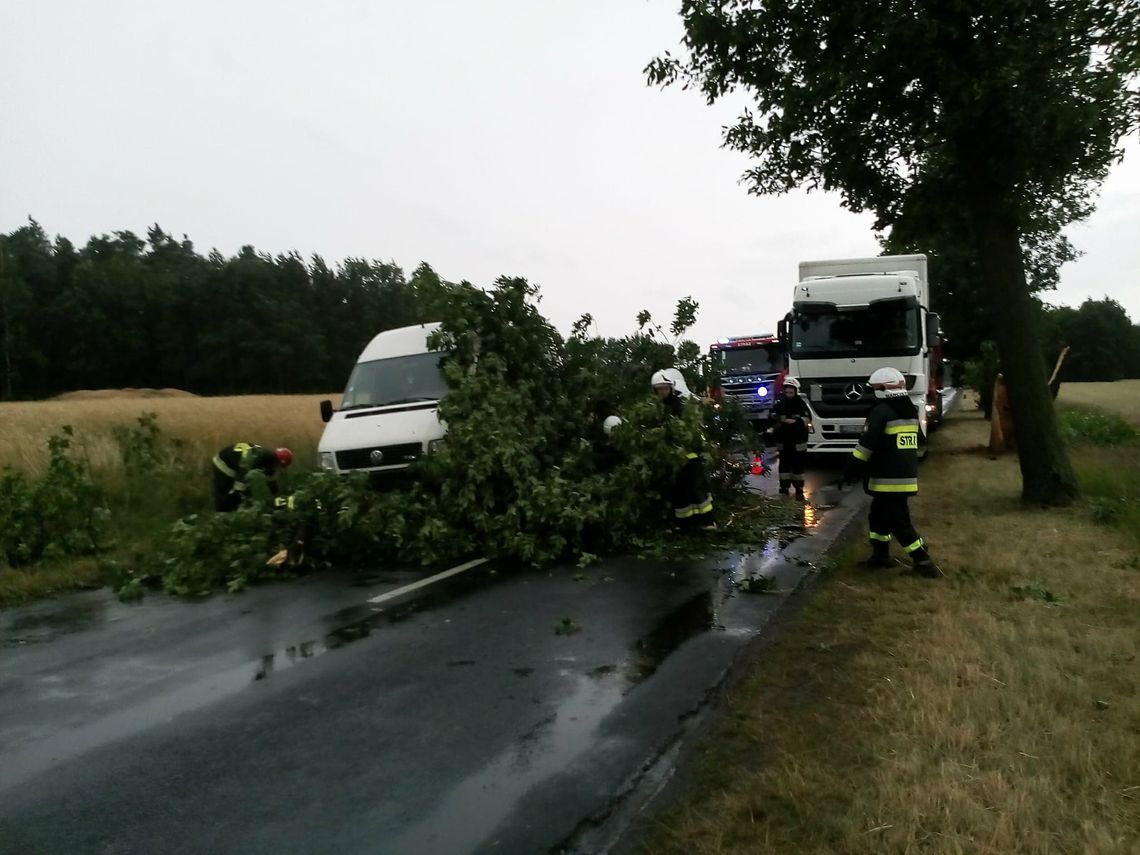 Powalone drzewa, zerwane linie energetyczne. Nawałnica nad regionem ZDJĘCIA