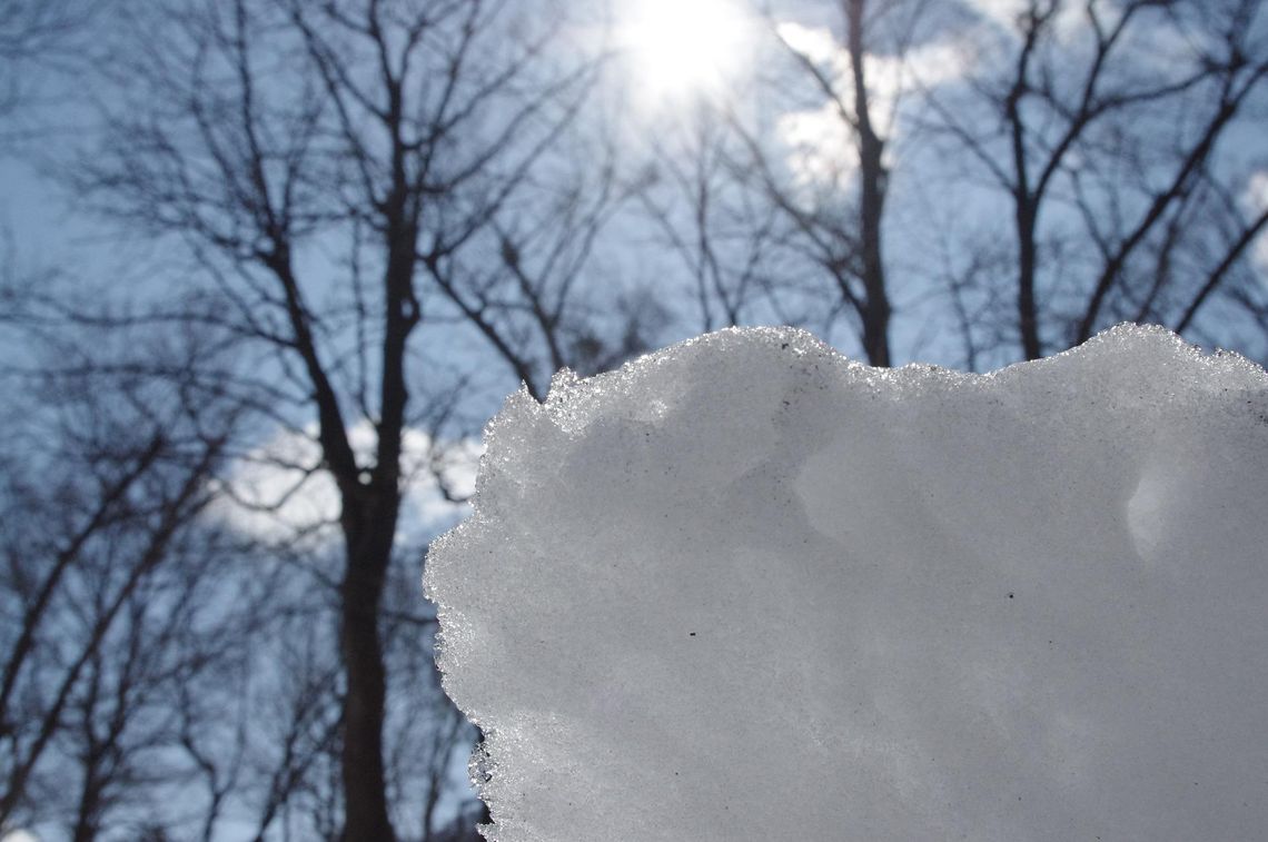 Powieje wiosną. Idzie odwilż, a w weekend nawet dwucyfrowe wartości… na plusie!