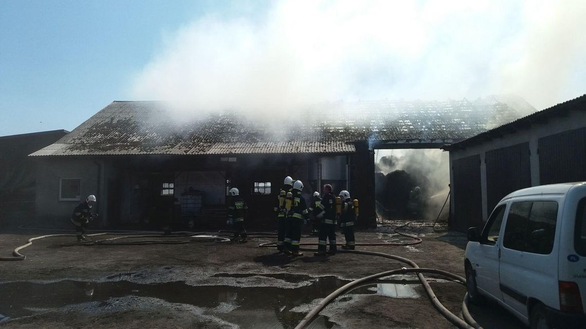 Pożar budynku gospodarczego w Zbiersku. W środku zwierzęta ZDJĘCIA