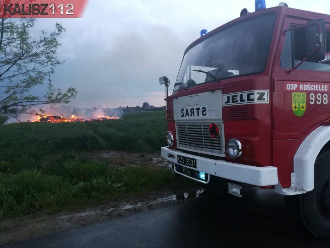 Pożar drewnianej stodoły w gminie Mycielin ZDJĘCIA i WIDEO