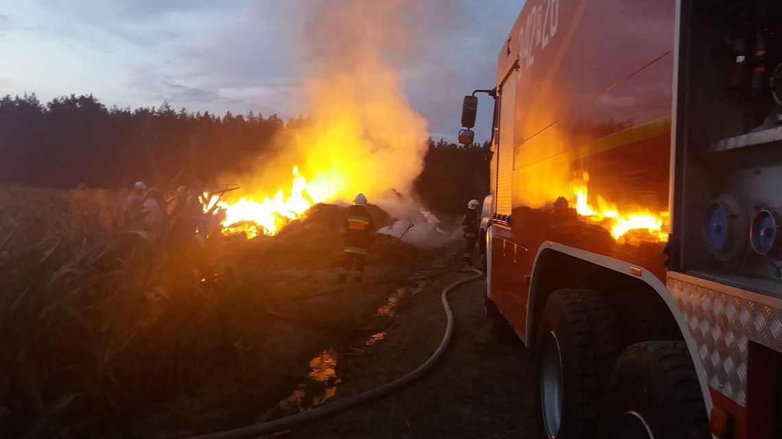 Pożar stogów w gminie Brzeziny. W akcji około 40 strażaków ZDJĘCIA