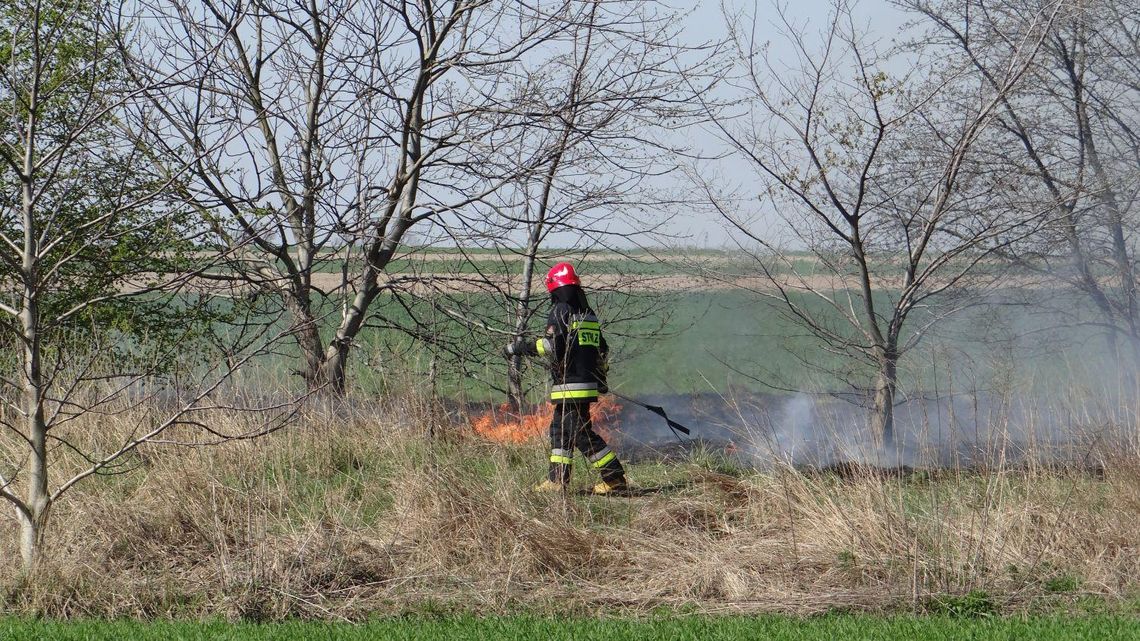 Pożar trawy na Dobrzecu ZDJĘCIA