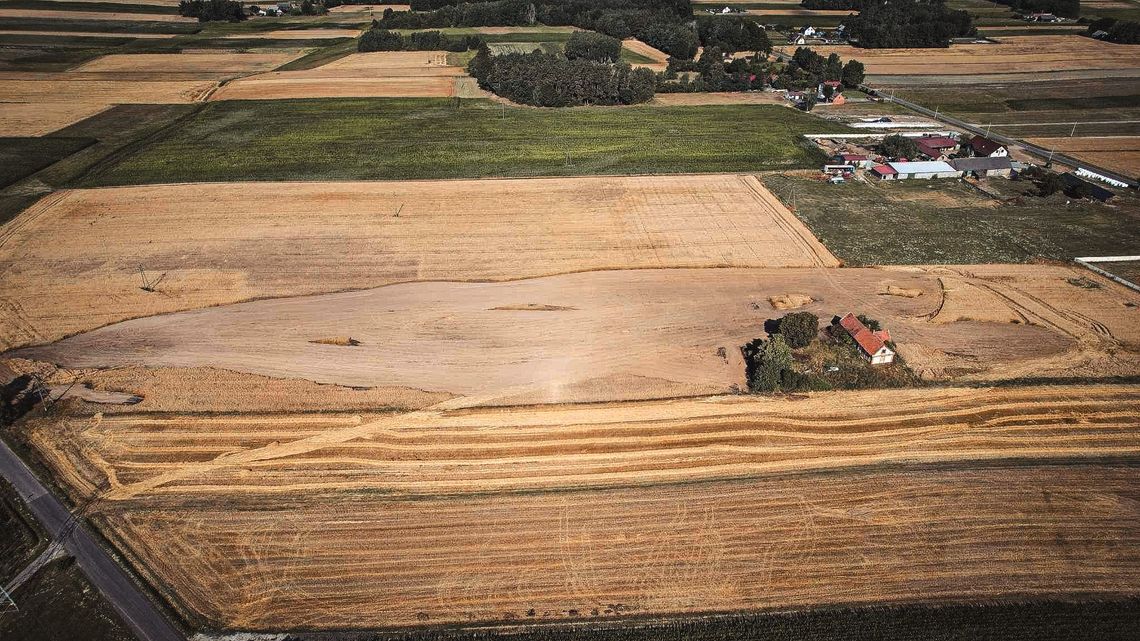 Pożar zboża na pniu. Kilka hektarów poszło z dymem