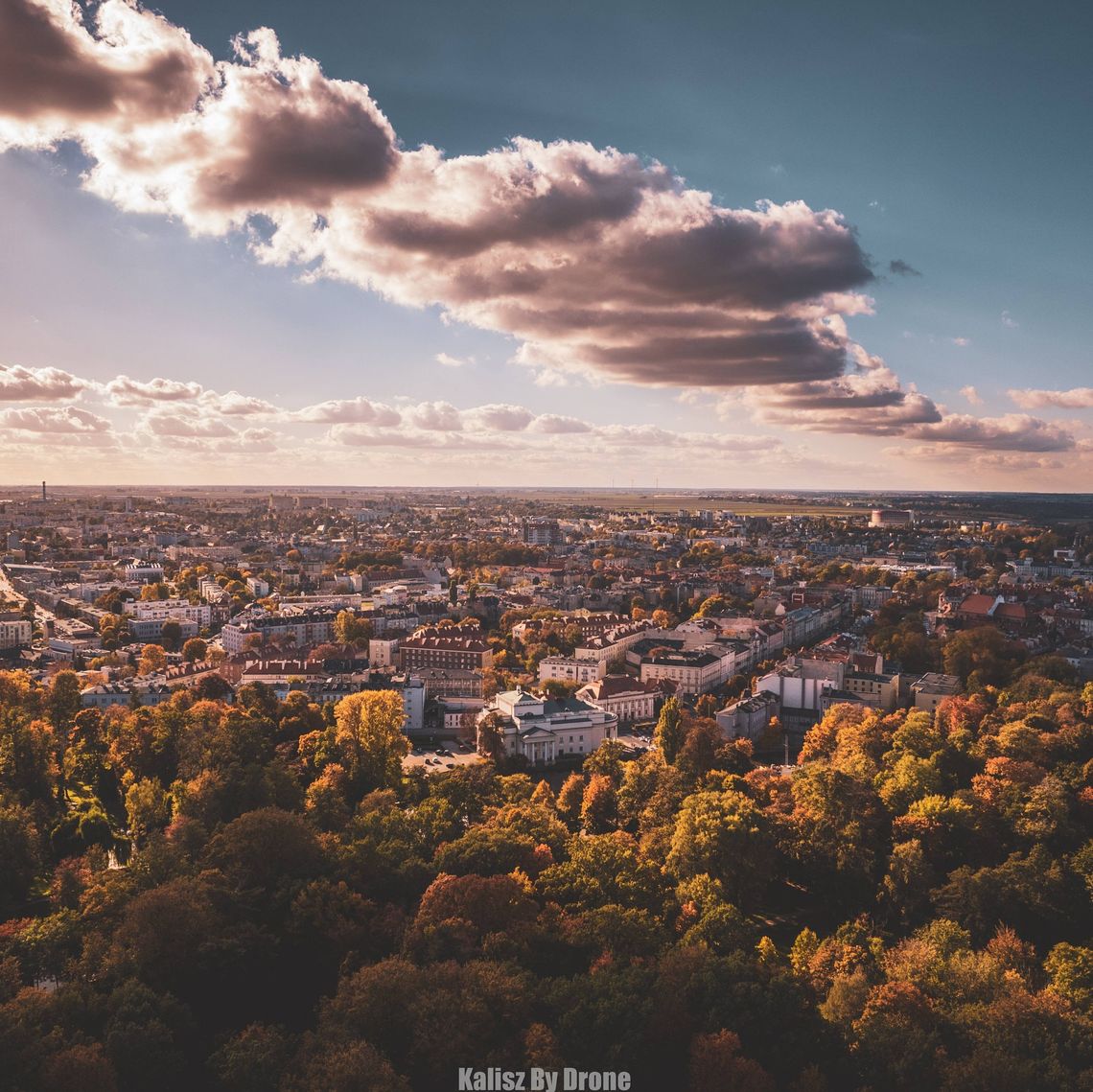 Praca szuka człowieka! NOWE OFERTY - KALISZ I POWIAT