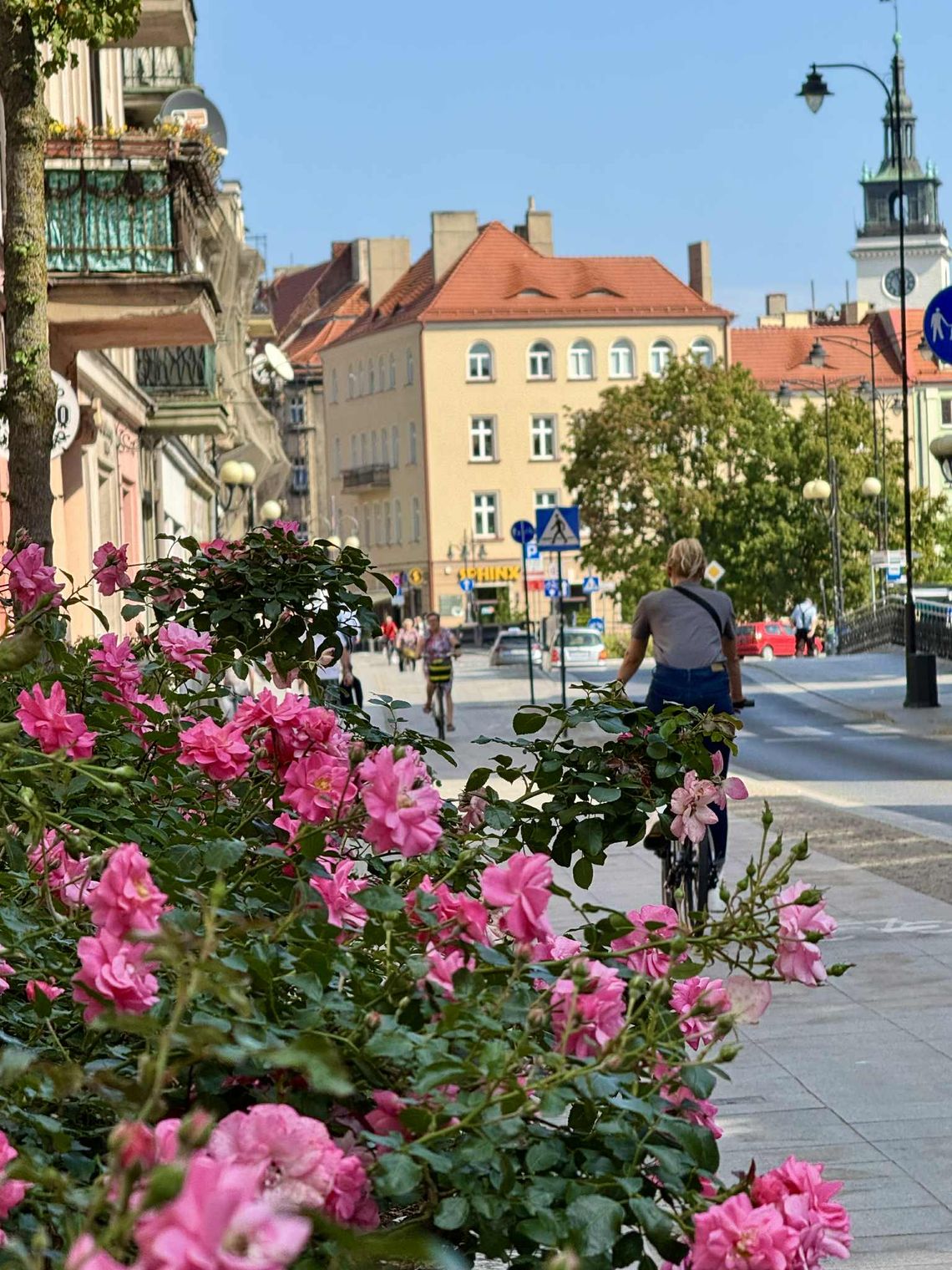 Praca w Dino, w szpitalu, Nestle... NOWE oferty - Kalisz i okolice