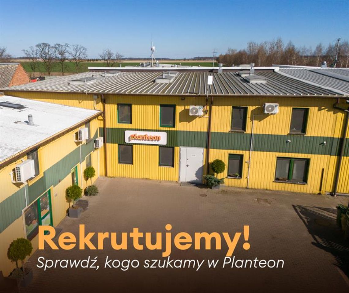 Praca w firmie PLANTEON! Kogo szukają do swojego zespołu?