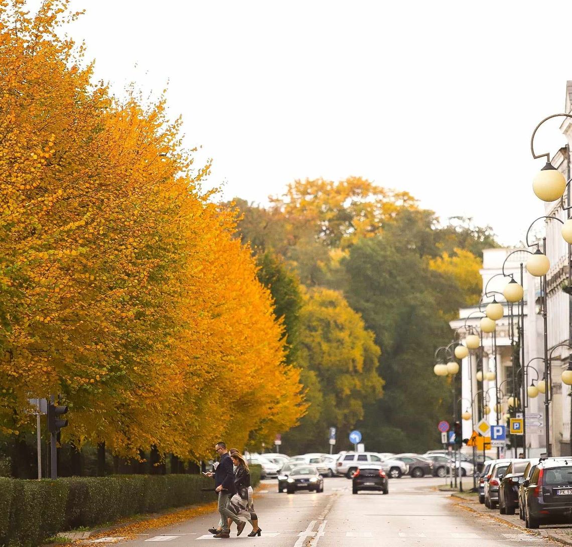 Praca w Kaliszu i okolicach NOWE OFERTY