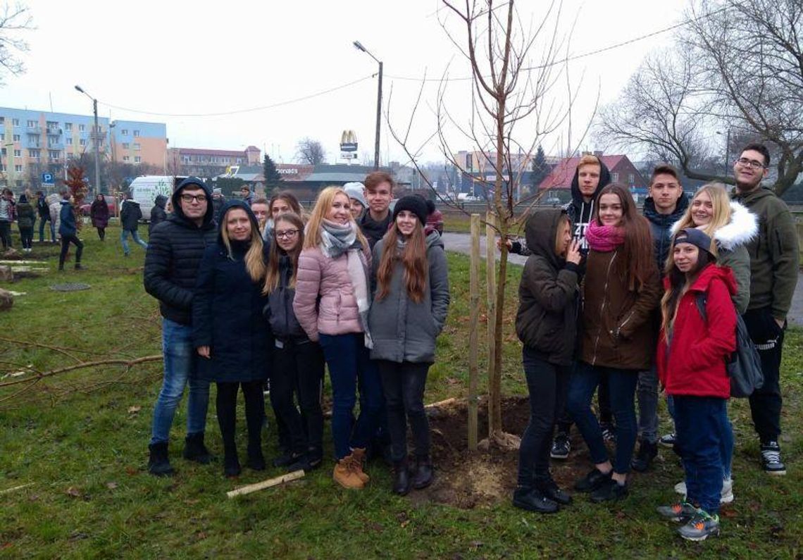 Prawie 260 drzewek w ramach akcji „Zielony Kalisz” ZDJĘCIA