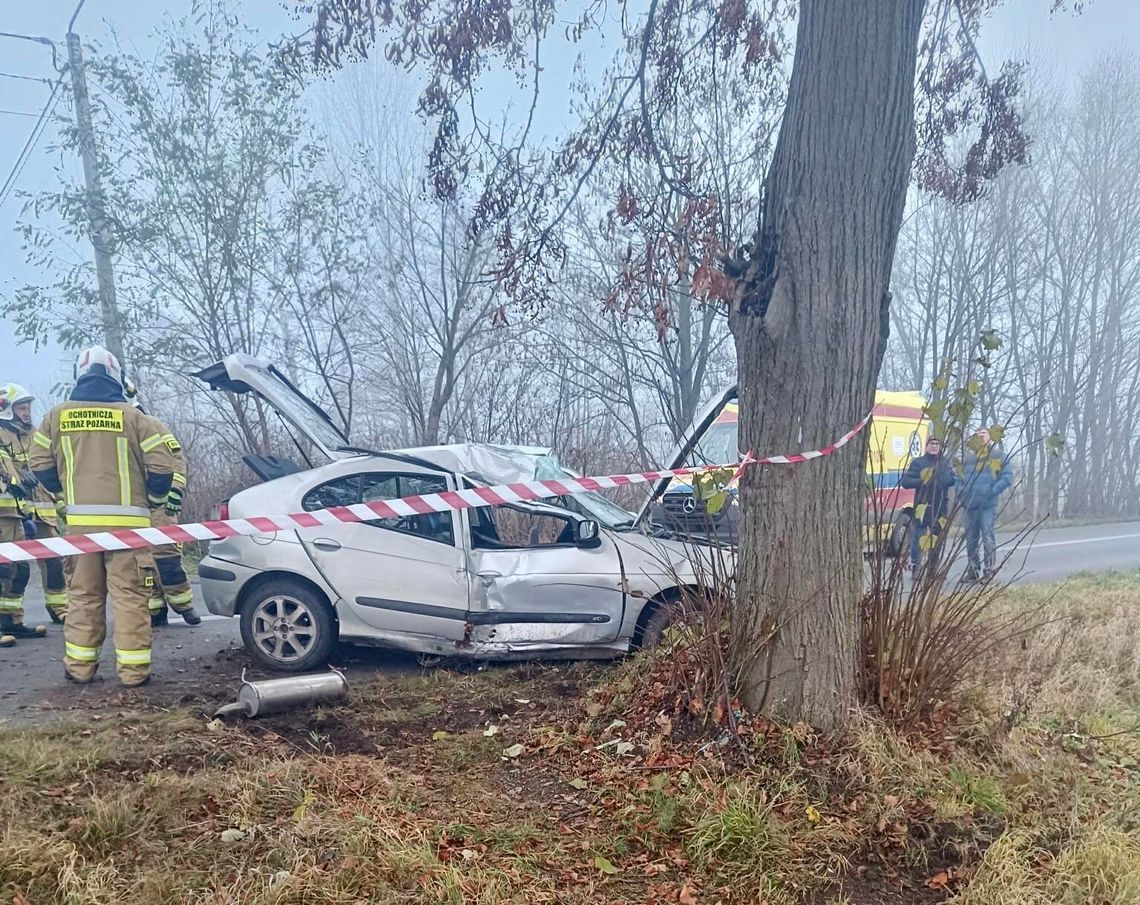 Prosto w drzewo. Kierowca pijany i poszkodowany