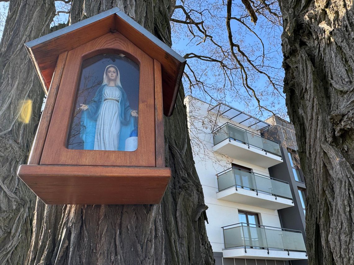 Przeprowadzają się tu z centrum Kalisza i nie tylko. W planach kolejne budynki