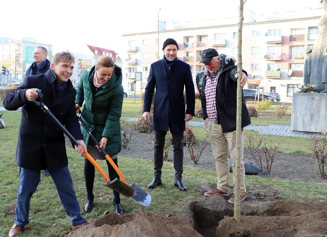 Przy pomniku Marii Konopnickiej posadzono 12 drzew ZDJĘCIA