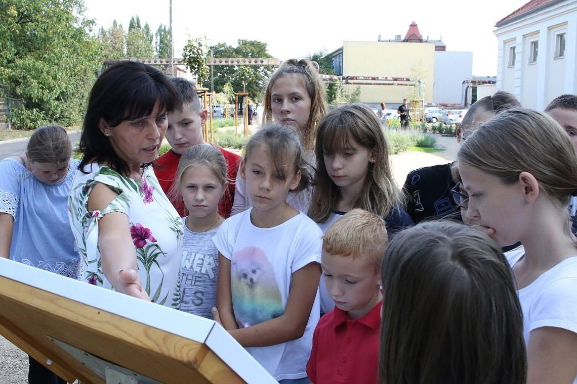 Przy SP 12 powstała ścieżka edukacyjna ZDJĘCIA