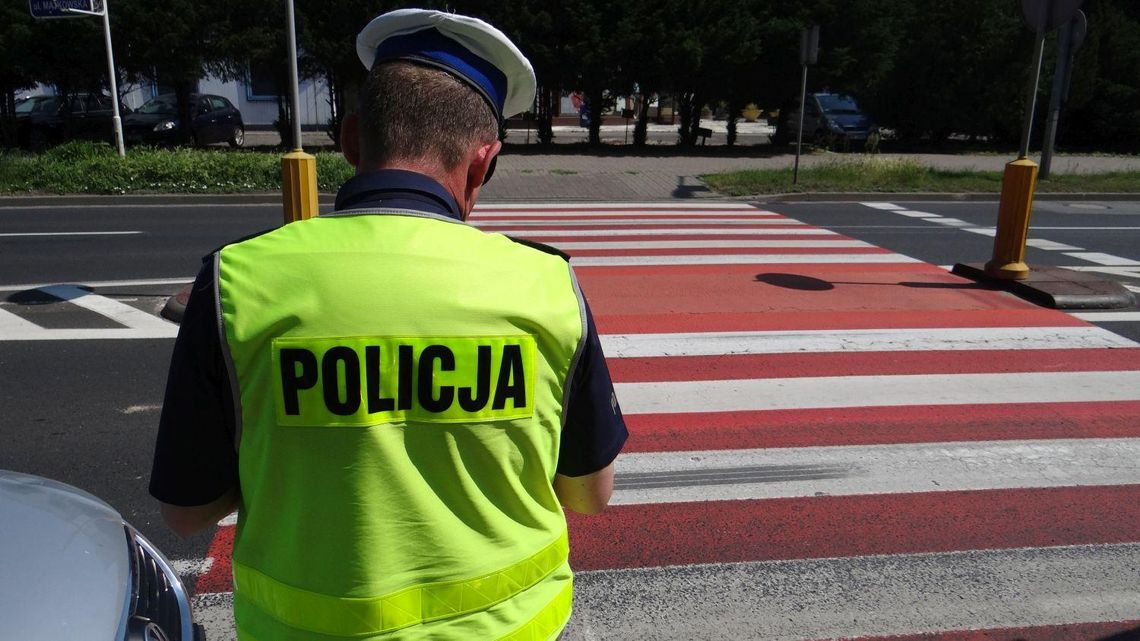 Przyglądają się zachowaniom kierowców wobec pieszych. Trwa akcja policji