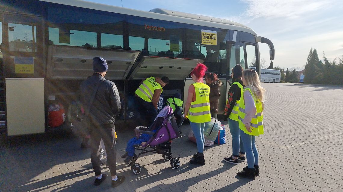 Pytają o pracę i szkołę dla dzieci. PKS Kalisz przywozi kolejnych uchodźców