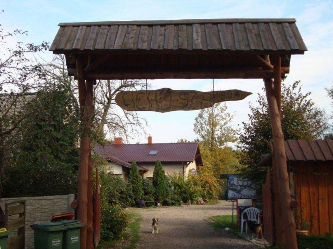 Rehabilitują dzikie zwierzęta