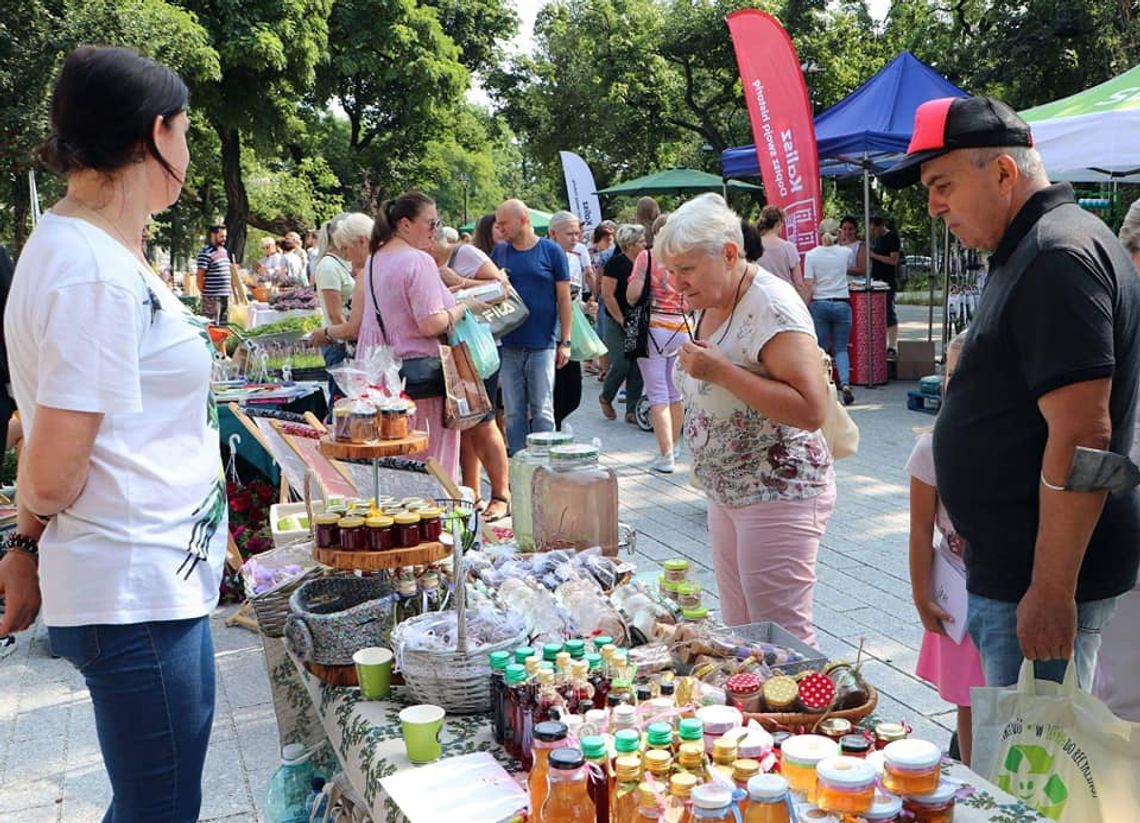 Rośliny, stoiska promocyjne i niespodzianki. Przed nami 4. targ kwiatowy