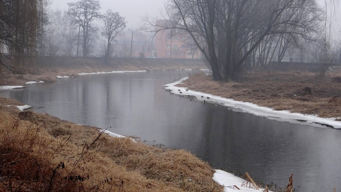 Rośnie poziom wody w Prośnie i Swędrni