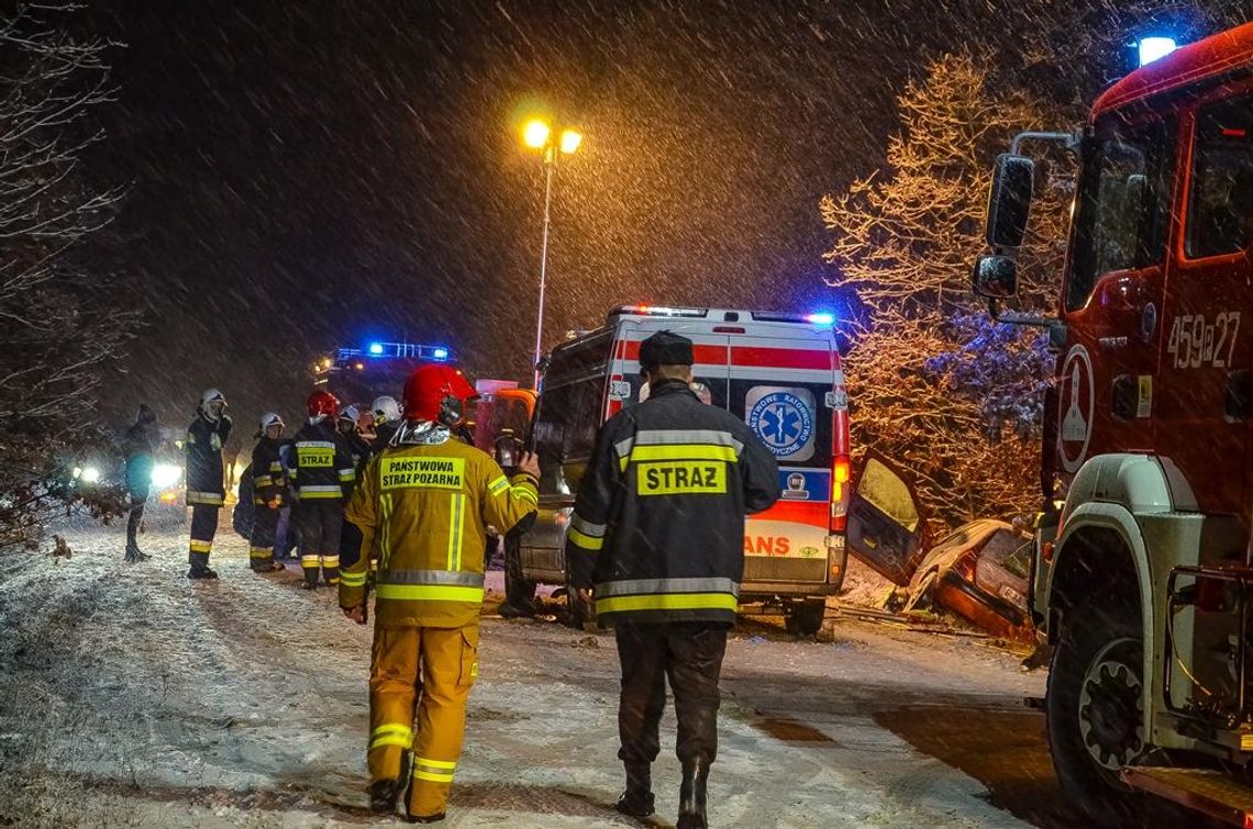 Roszków: zderzenie dwóch samochodów osobowych, wśród rannych dzieci ZDJĘCIA