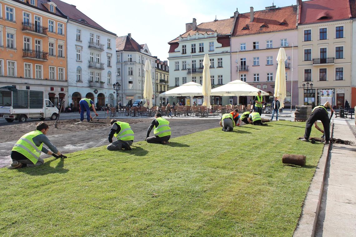 „Rozwijają trawę” przed Ratuszem ZDJĘCIA