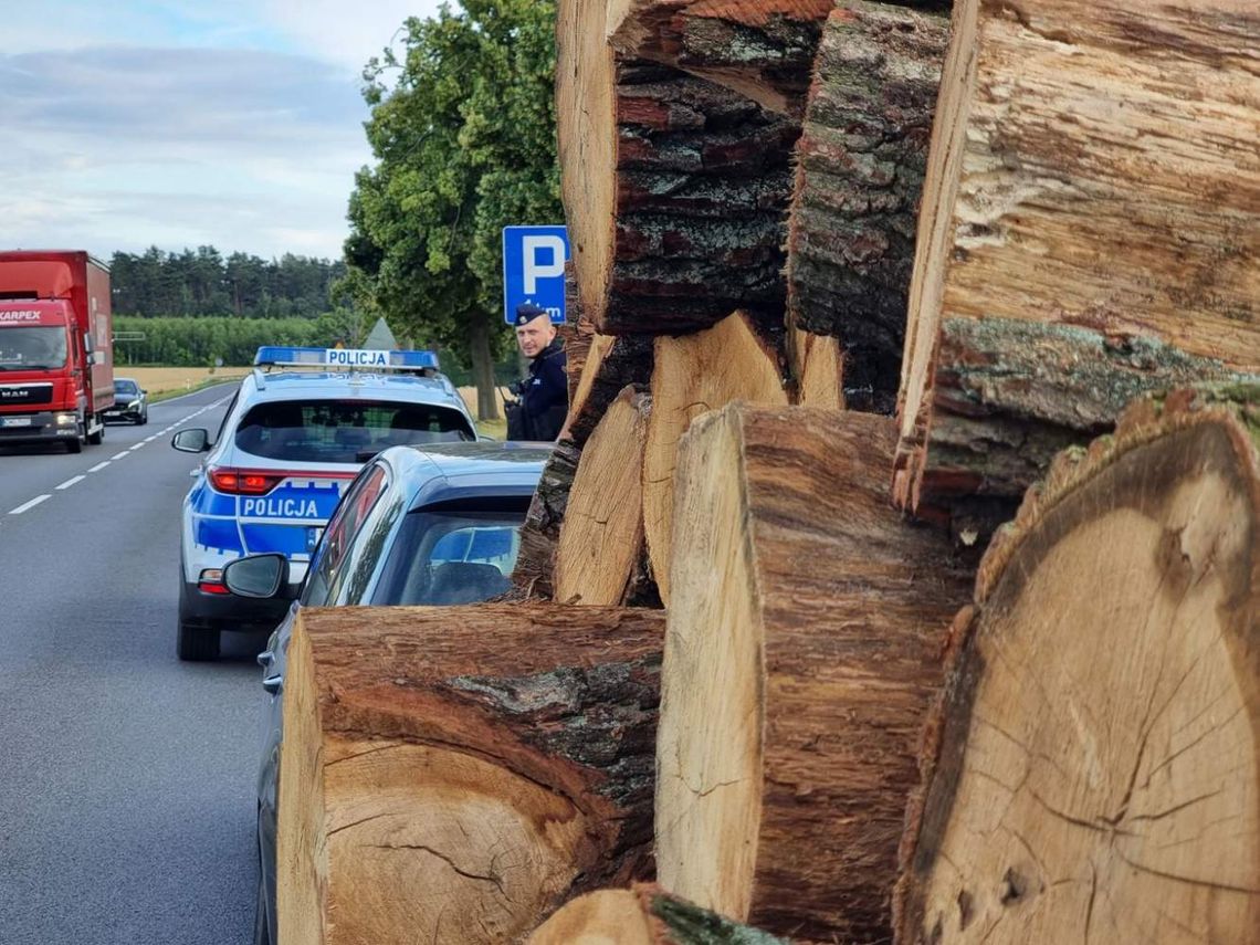 Rząd zachęcał do zbierania chrustu, ale ten to przesadził