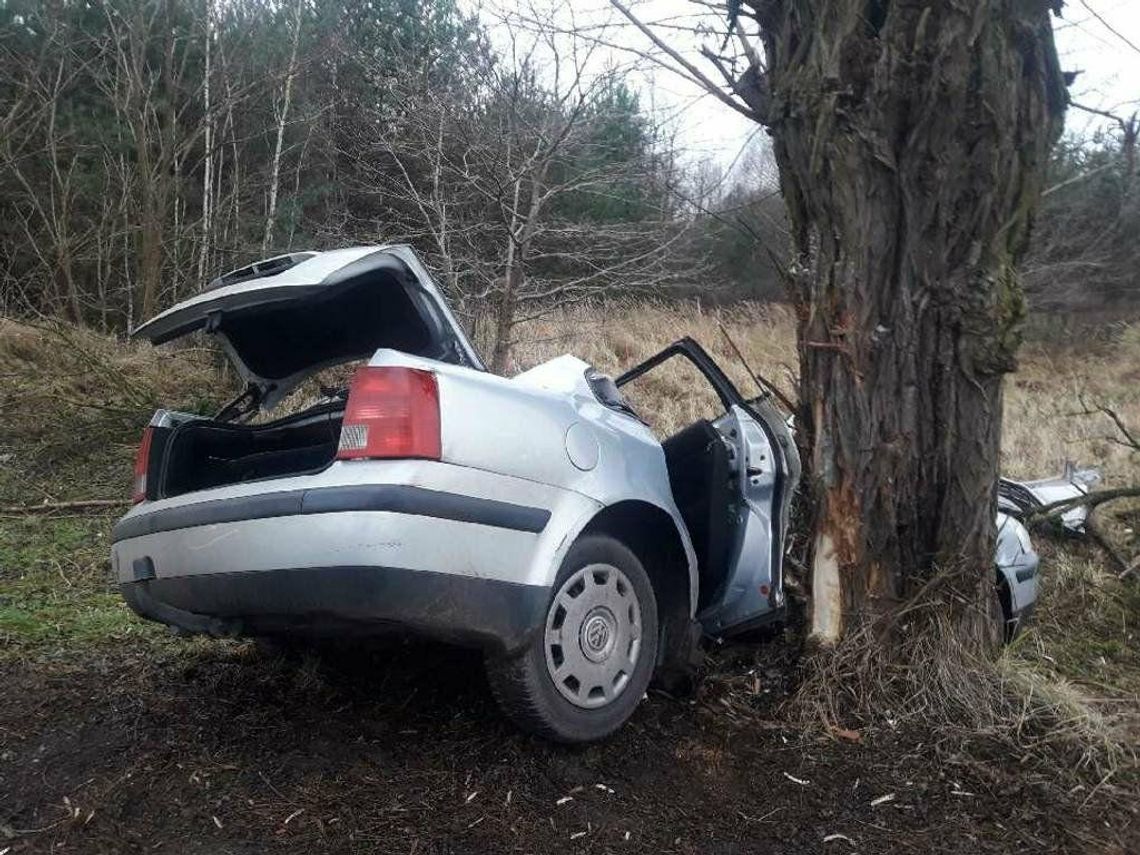 Samochód uderzył w drzewo. Ciężko ranne dziecko