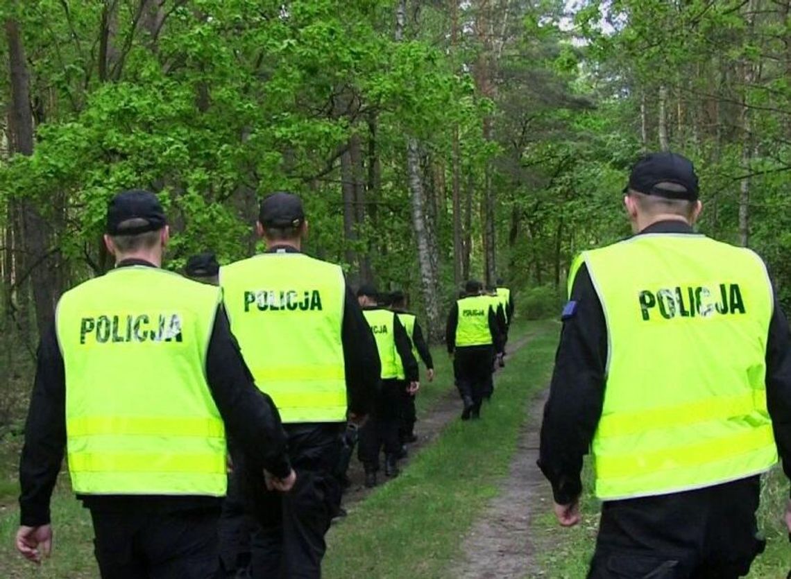 Schował towar za pół miliona. Policja sprawdziła pięć adresów