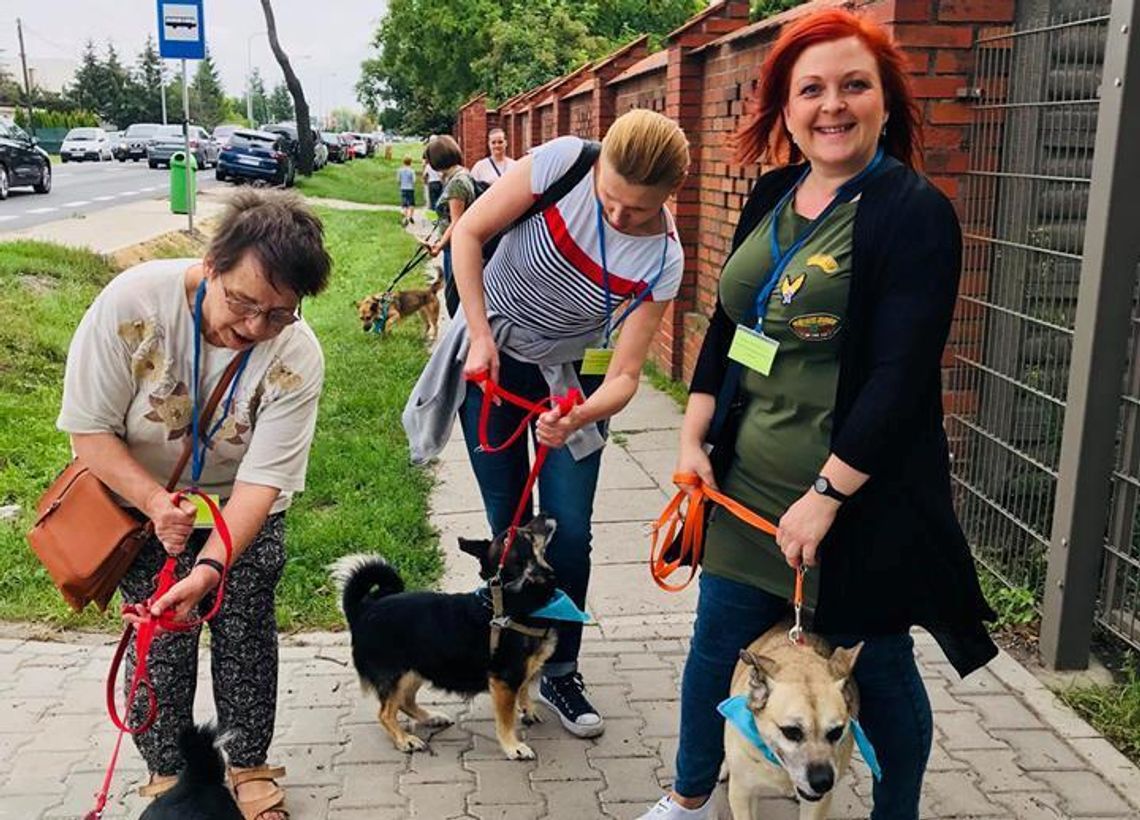 Schronisko na kilka godzin opustoszało. Kaliszanie pozytywnie odpowiedzieli na apel ZDJĘCIA