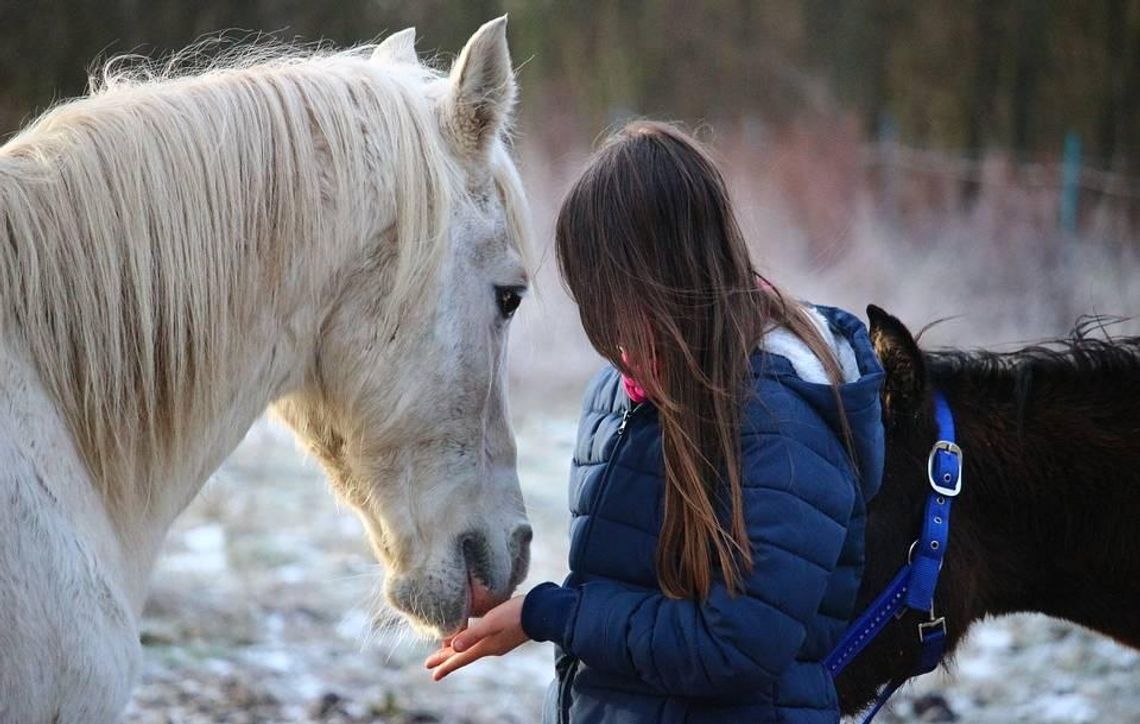 Skazany za molestowanie instruktor jazdy konnej wyszedł na wolność