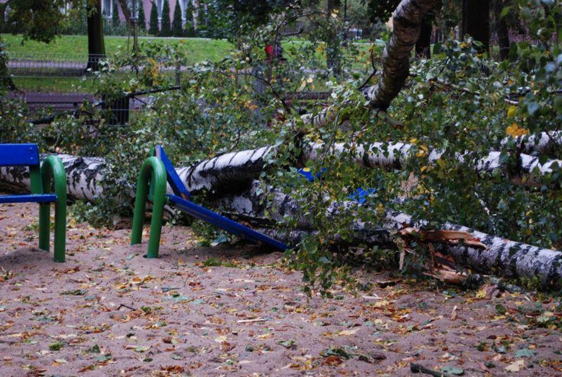 Służby szacują straty po wichurze. „Nie korzystać z parków i placów zabaw”