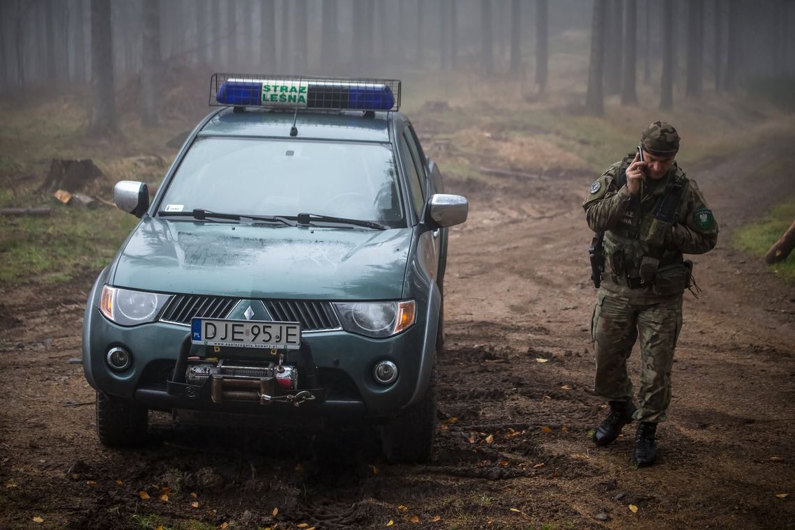 Służby w las. Trwa akcja leśników i policjantów Służby w las. Trwa akcja leśników i policjantów
