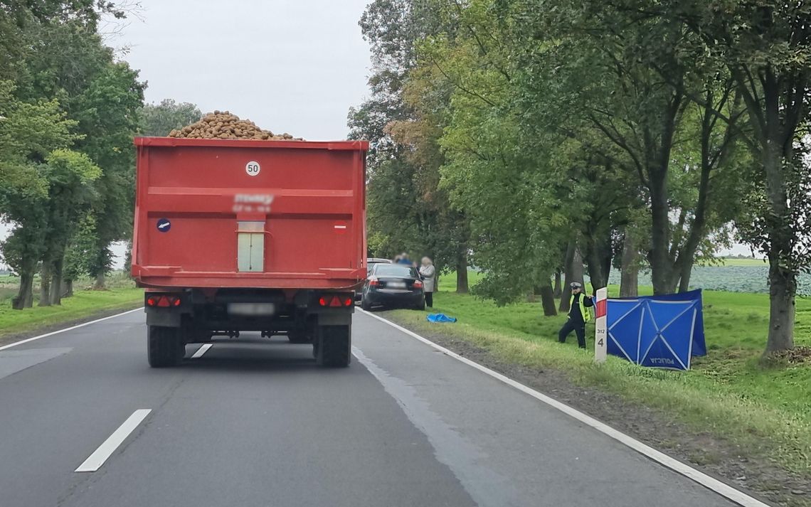 Śmiertelne potrącenie motorowerzysty. Sprawca odjechał z miejsca wypadku