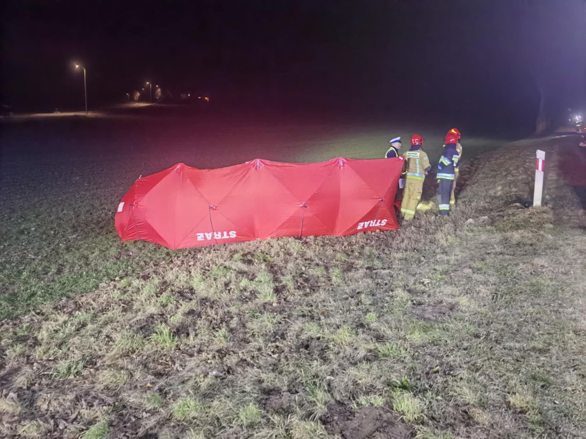 Śmiertelne potrącenie. Wypadek na drodze wojewódzkiej [REGION]