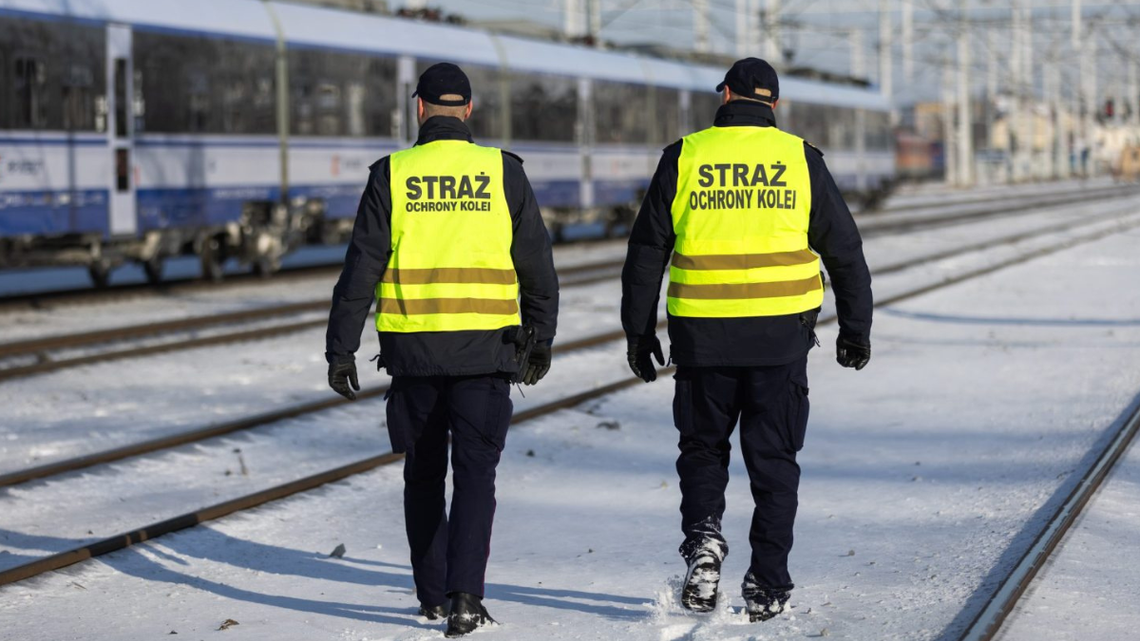 SOK poszukuje sokistów. Można zarobić 8 tysięcy złotych